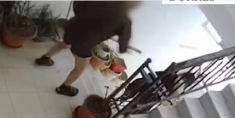 I moshuari qëllon gruan me shkop druri në kokë, policia parandalon vrasjen, 70 vjeçarja niset me urgjencë te Trauma