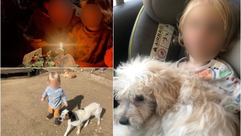 U sulmua për vdekje nga qeni pitbull, ky është 2-vjeçari shqiptar që humbi jetën! I mituri kishte festuar ditëlindje 10 ditë më parë